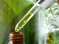 La RSE chez L’Oréal : une transformation qui n’a rien de cosmétique&nbsp;!