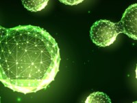 L’hydrogène vert pour l’OCP : une bénédiction&nbsp;stratégique