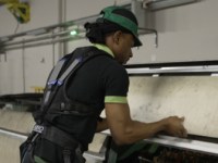 Technologie raisonnée : le cas du déploiement&nbsp;d’exosquelettes